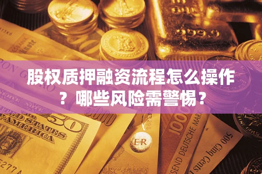 北京股权质押融资流程怎么操作？哪些风险需警惕？