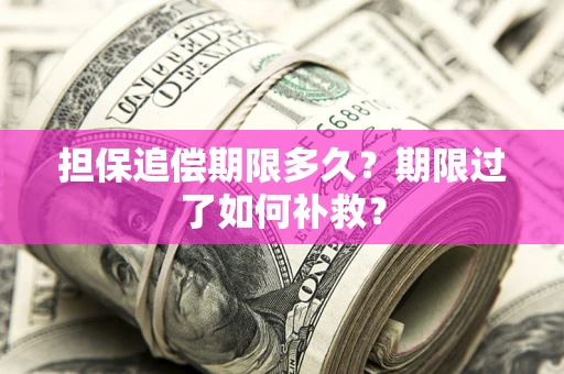 北京担保追偿期限多久？期限过了如何补救？