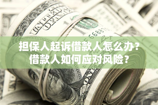 北京担保人起诉借款人怎么办？借款人如何应对风险？
