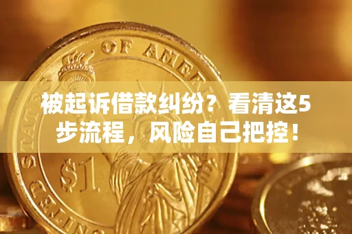 北京被起诉借款纠纷？看清这5步流程，风险自己把控！