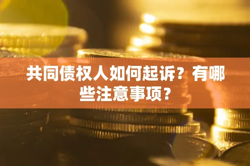 北京共同债权人如何起诉？有哪些注意事项？